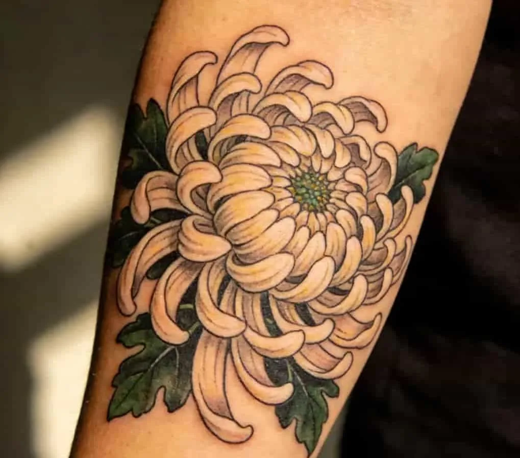 Japanese Chrysanthemum Tattoo Meaning: Why This Flower Isn’t Just Pretty