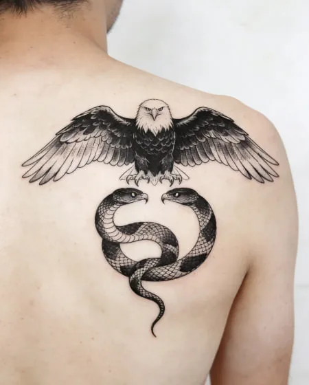 The Deep Meaning Behind Snake and Eagle Tattoos: Not Just Conflict, But Balance.