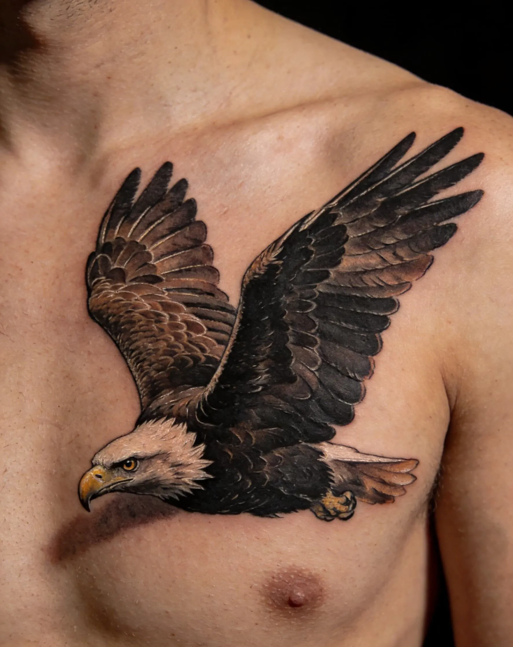 Eagle Tattoo Meaning
