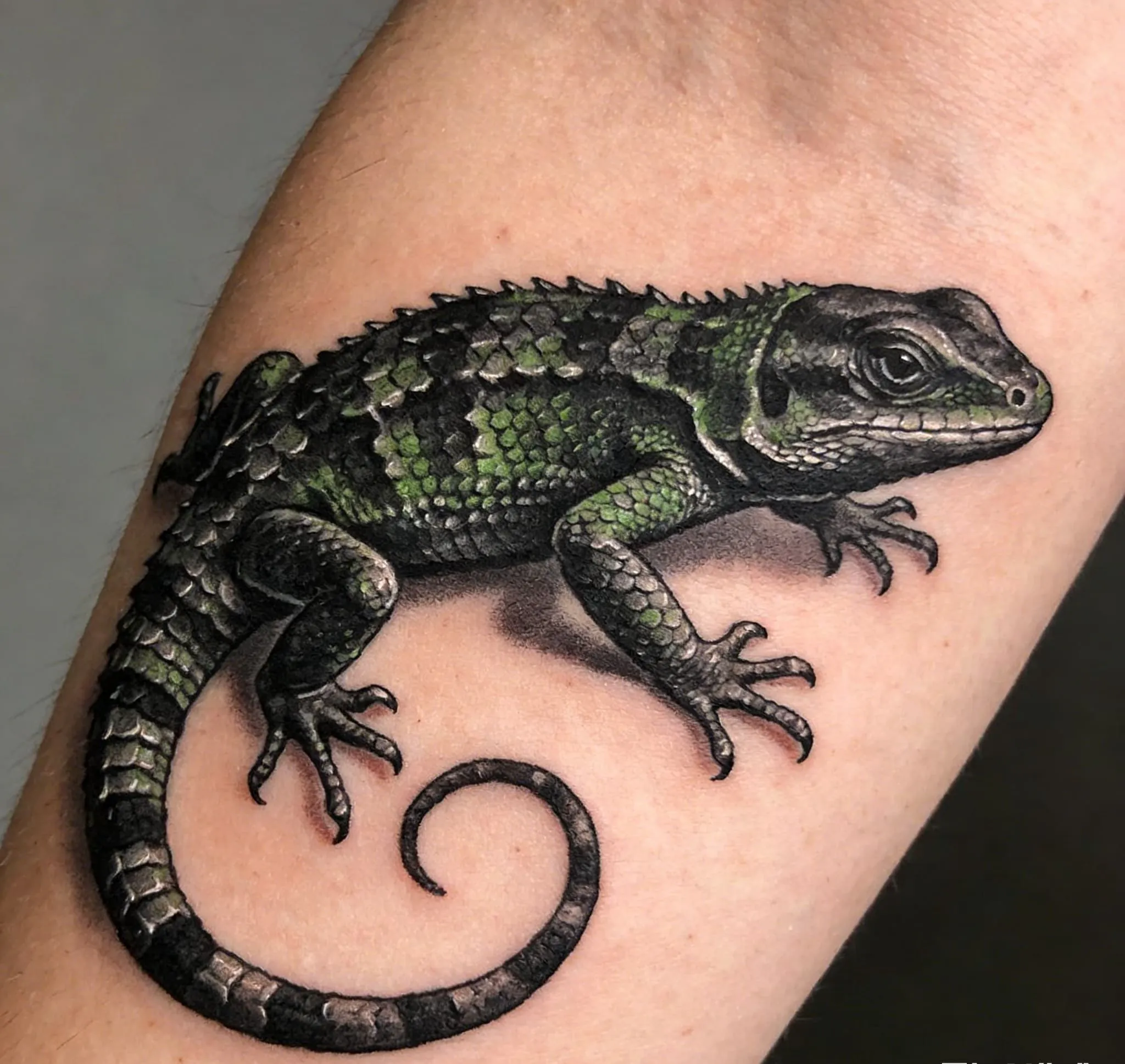Lizard Tattoo Meaning: What a Lizard Tattoo Really Symbolizes