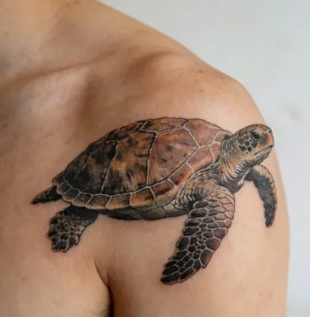 Polynesian Turtle Tattoo Meaning: The Deep Symbolism of Honu