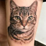 The Meaning of Cat Tattoos for Men and Women.