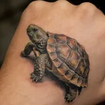 Turtle Tattoo Meaning: More Than Just “Slow”—It's the Wisdom of Life.