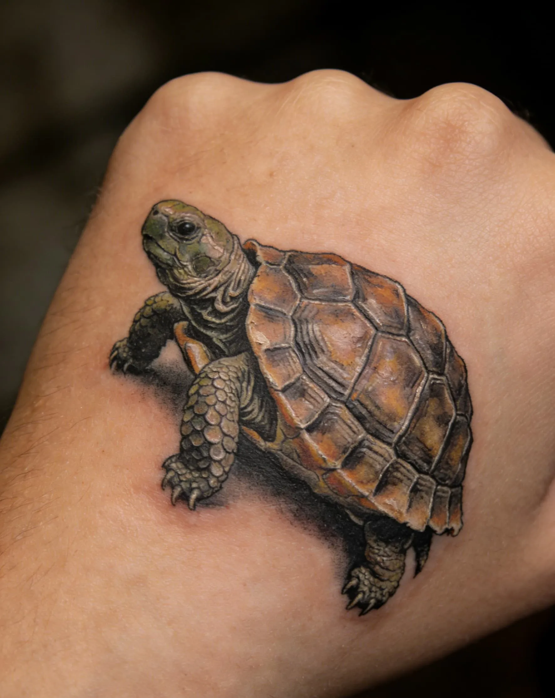 Turtle Tattoo Meaning: More Than Just “Slow”—It's the Wisdom of Life.