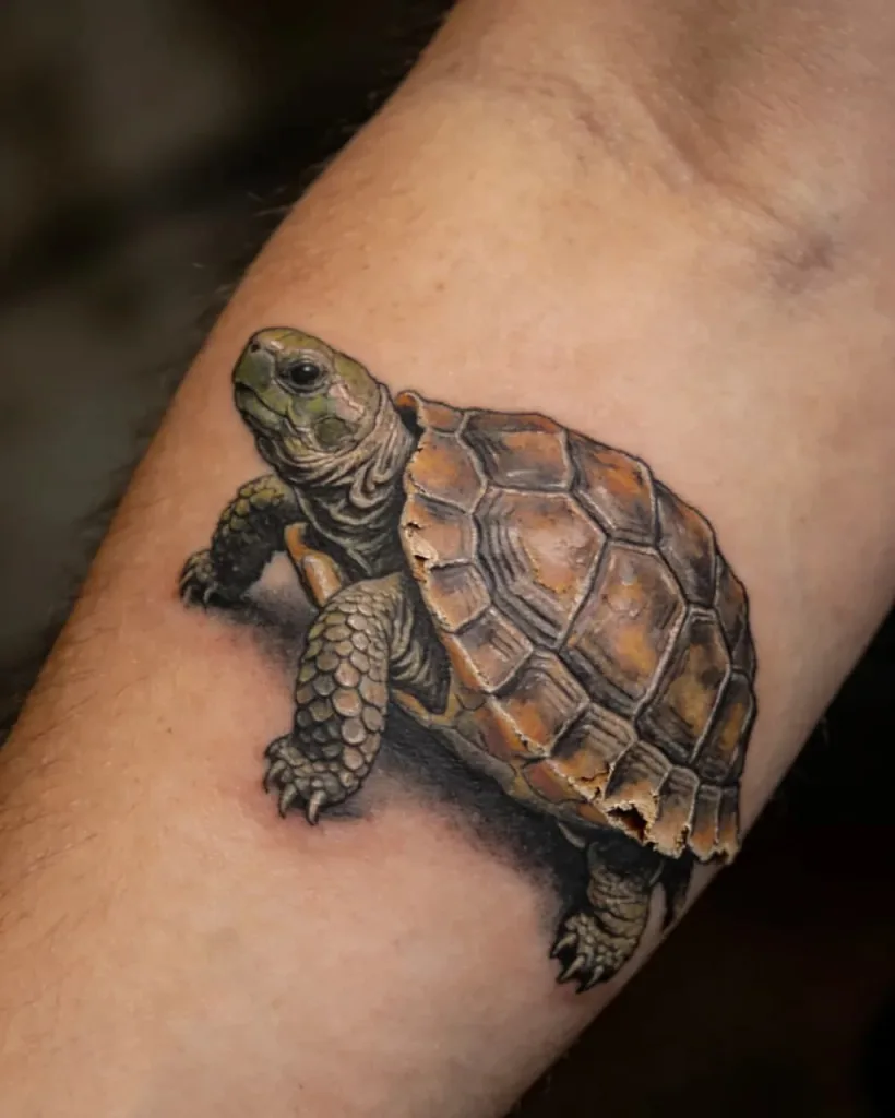 Turtle Tattoo Meaning: More Than Just “Slow”—It's the Wisdom of Life.