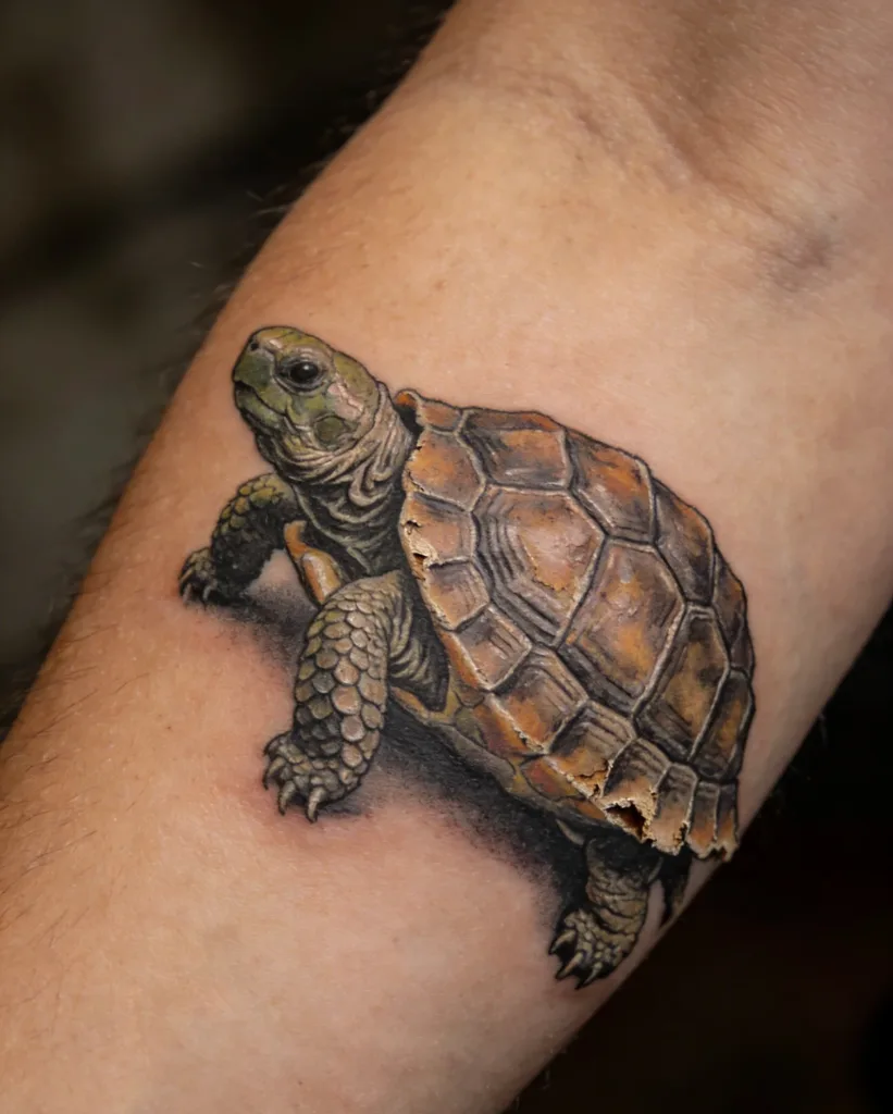 Turtle Tattoo Meaning: More Than Just “Slow”—It's the Wisdom of Life.