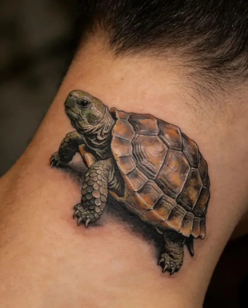 Turtle Tattoo Meaning: More Than Just “Slow”—It's the Wisdom of Life.