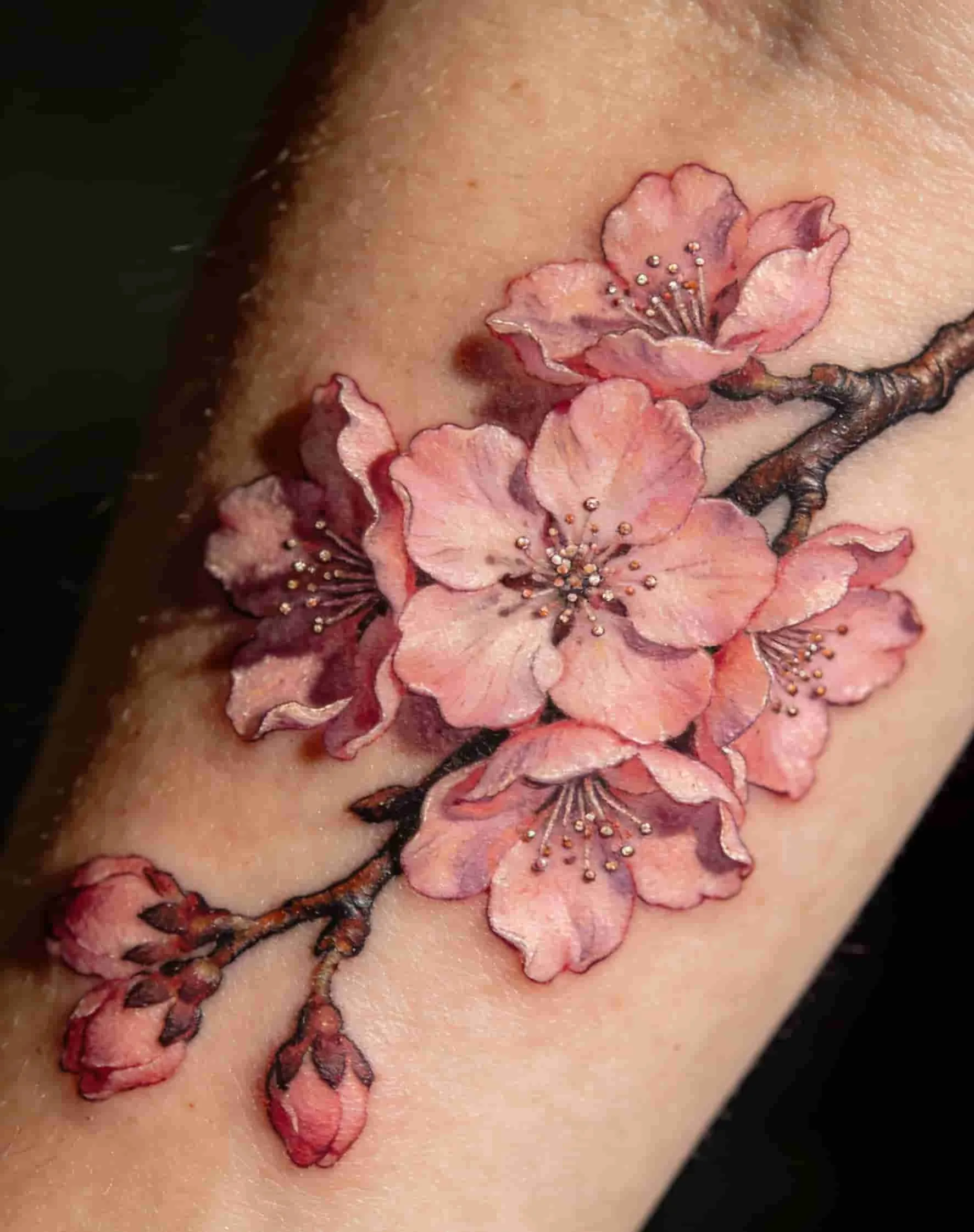 The Meaning of Cherry Blossom Tattoos: What Does This Beautiful Design Symbolize?