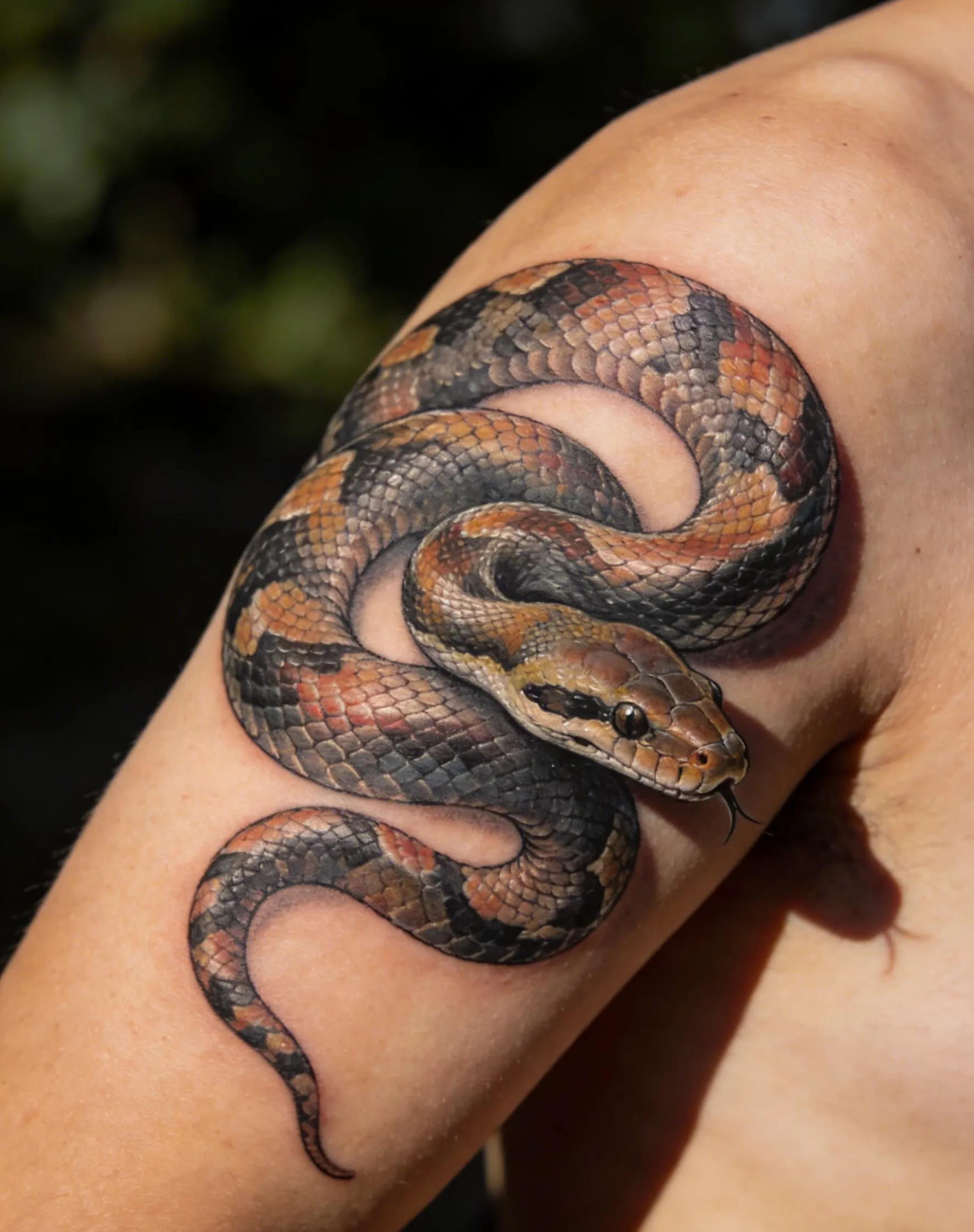 Snake Tattoo Meaning: Symbolism, Styles & Placement Guide