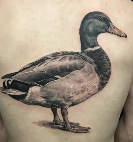 Duck Tattoo Meaning: Symbolism, Styles & Placement Ideas