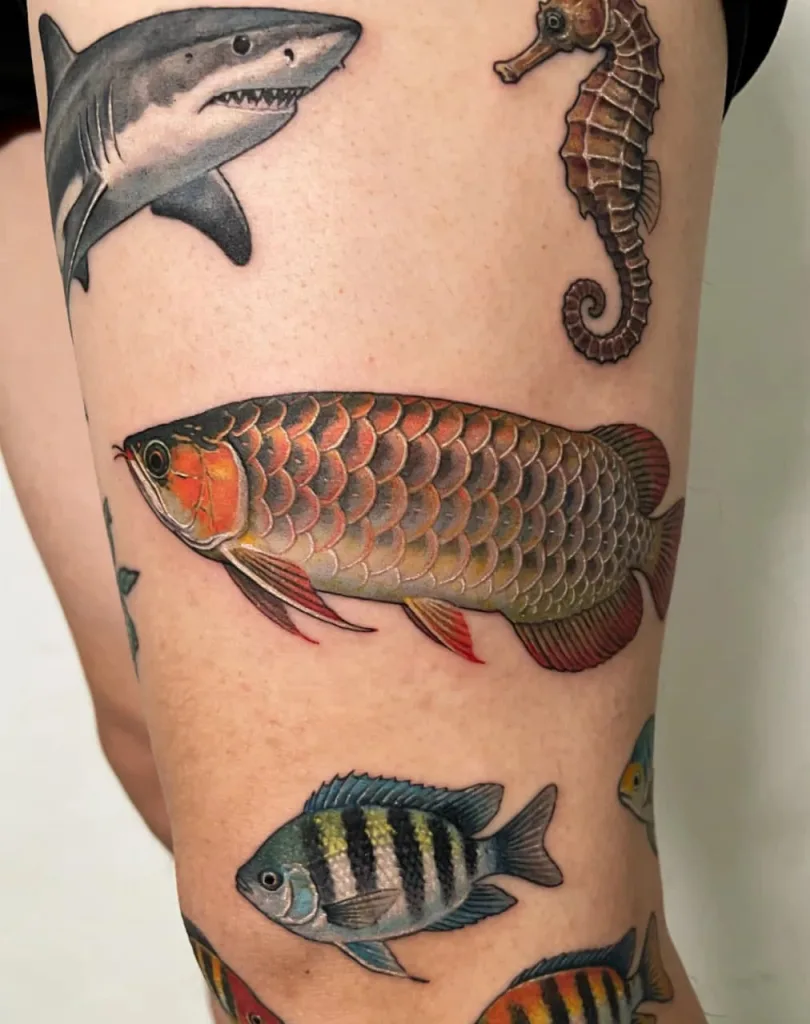 Tattoo of Fish Meaning: Why Fish Tattoos Are So Popular Today