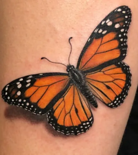Monarch Butterfly Tattoo Meaning: Symbolism, Transformation, and Design Ideas
