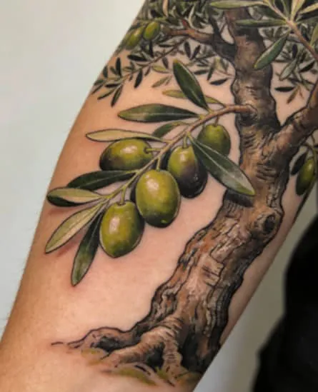 Olive Tree Tattoo Meaning: Symbolism, Design Ideas & Best Placement