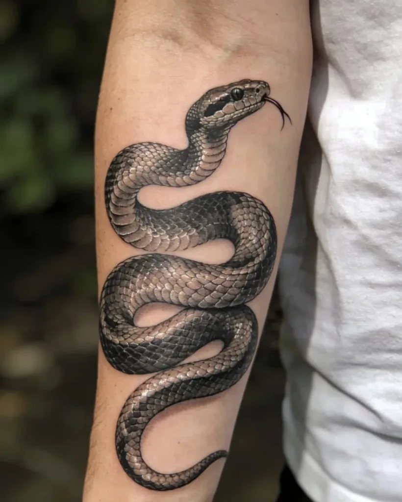 Snake Tattoo Meaning: Symbolism, Styles & Placement Guide